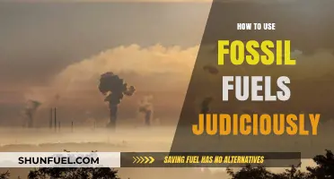 Being Smart With Fossil Fuels: A Guide