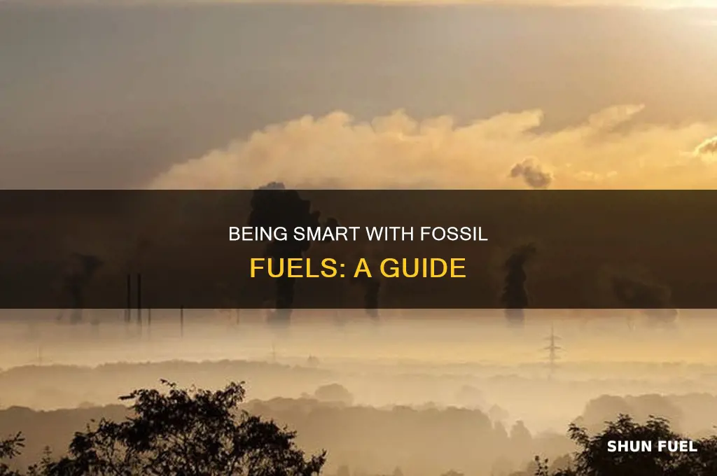 how to use fossil fuels judiciously