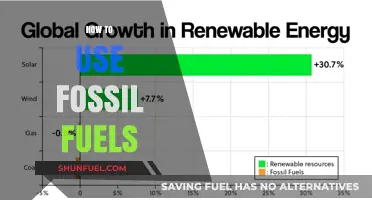 Maximizing Fossil Fuels: Efficient Usage and Environmental Considerations