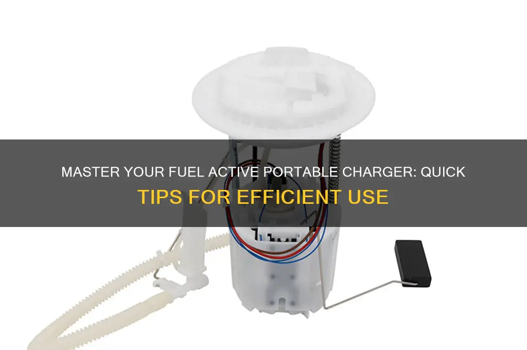 how to use fuel active portable charger