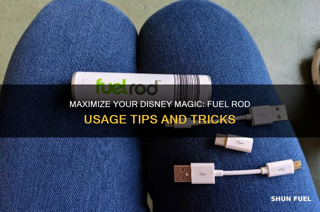 how to use fuel rod in disney