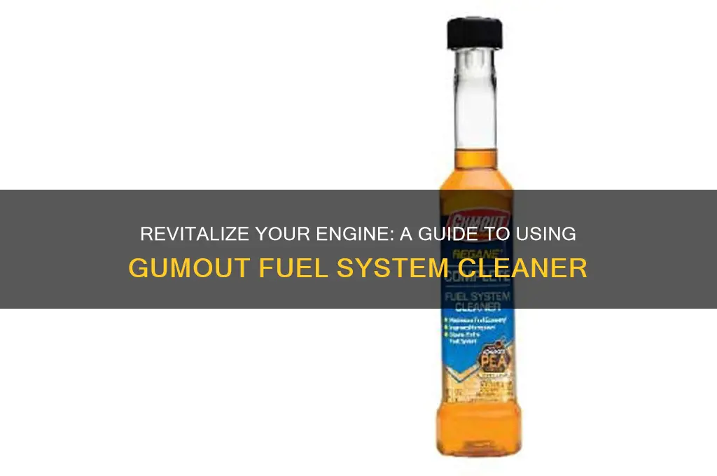 how to use gumout fuel system cleaner