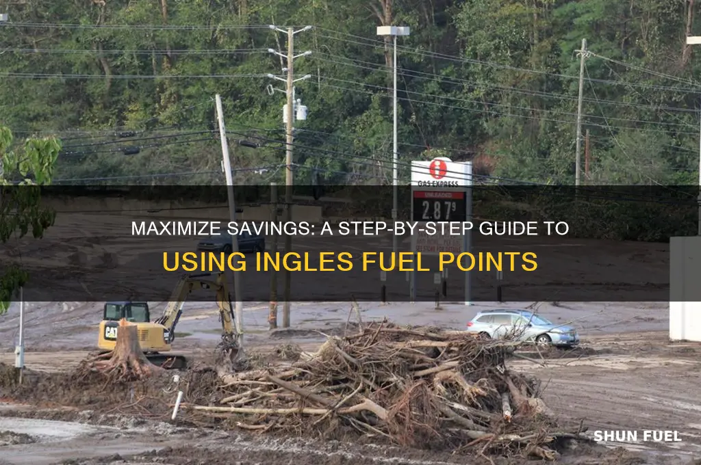 how to use ingles fuel points