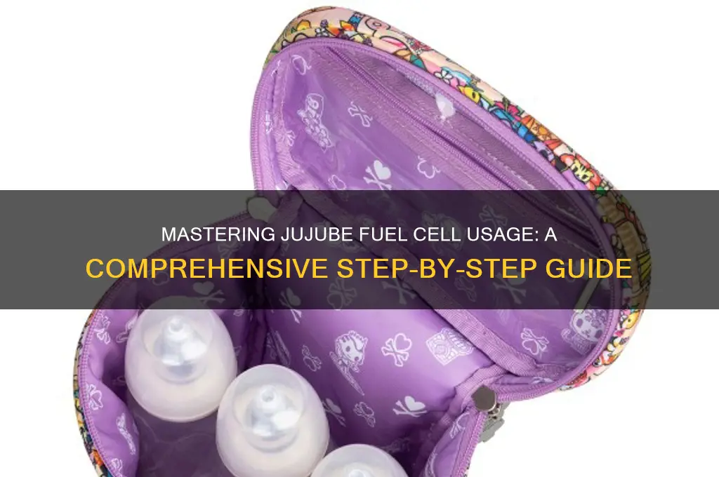 how to use jujube fuel cell