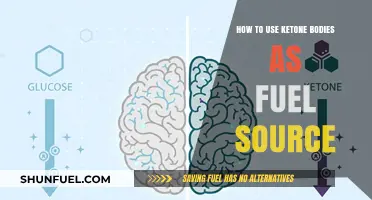 Unlocking Energy: How to Use Ketone Bodies as Fuel Source