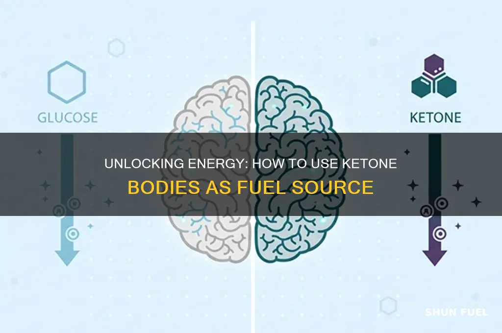 how to use ketone bodies as fuel source