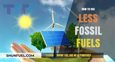Reducing Fossil Fuel Usage: A Guide to Greener Living