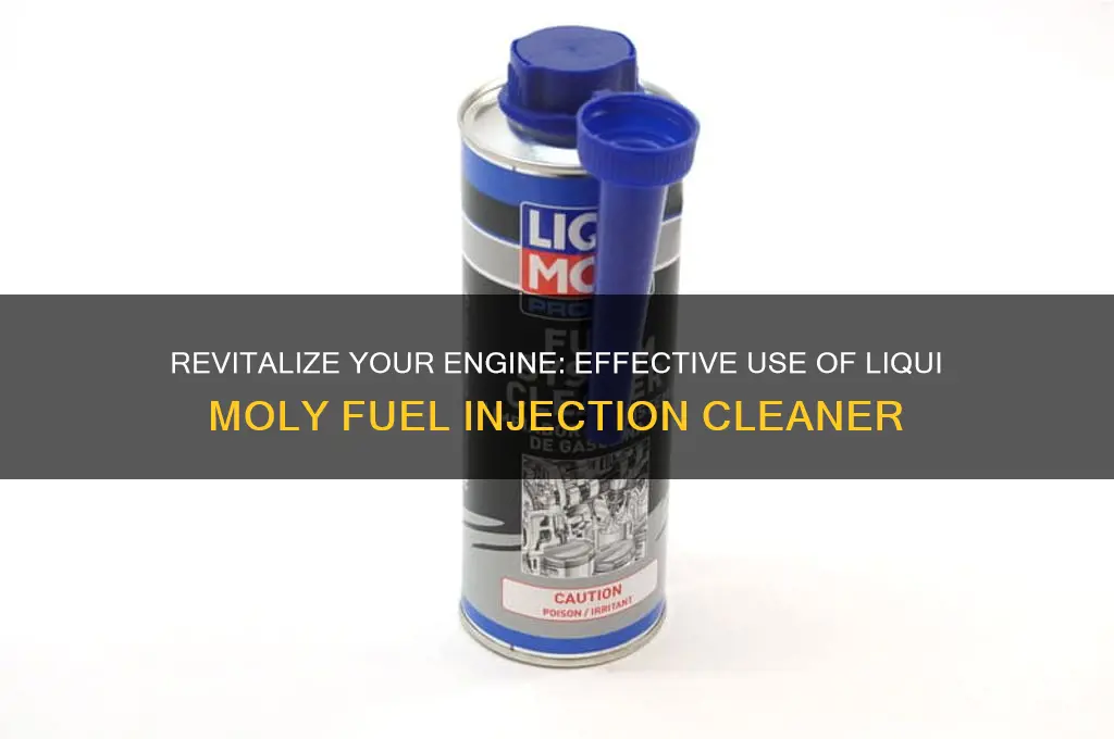 how to use liqui moly fuel injection cleaner