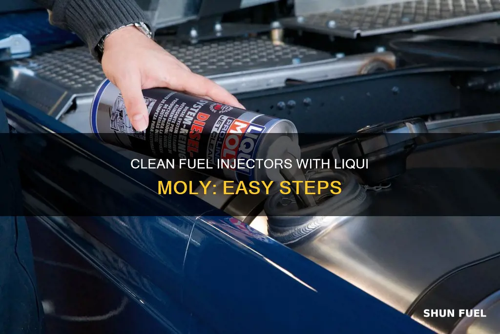 how to use liqui moly fuel injector cleaner