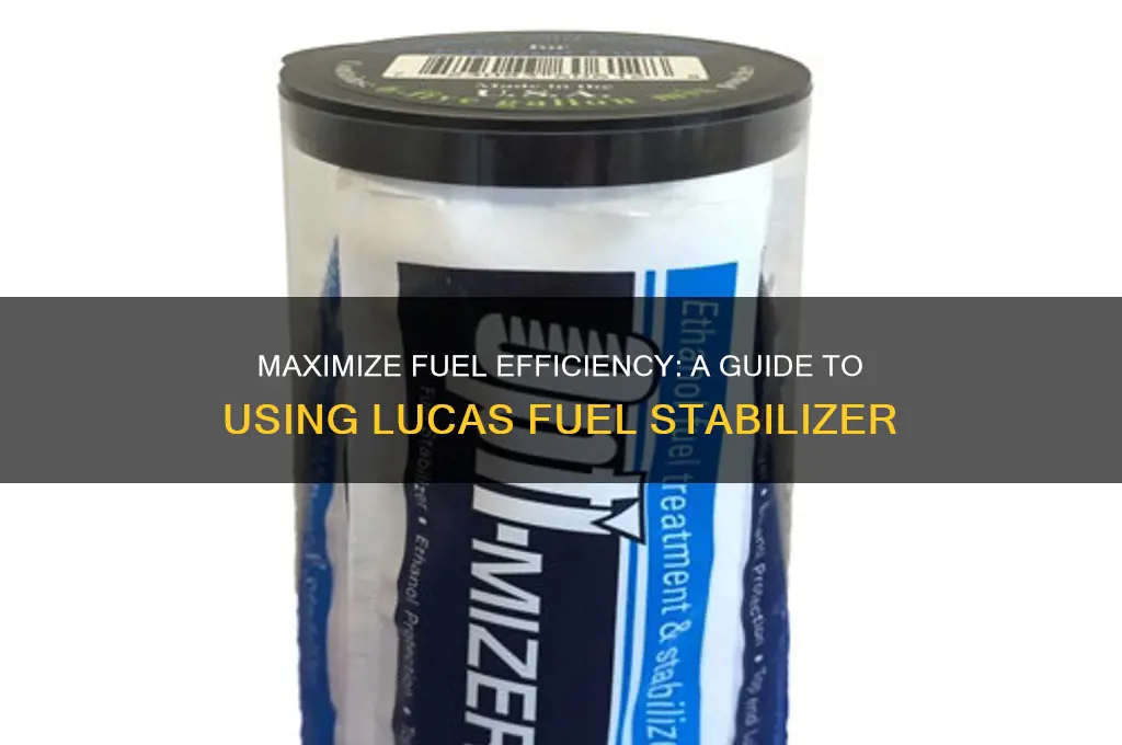 how to use lucas fuel stabilizer