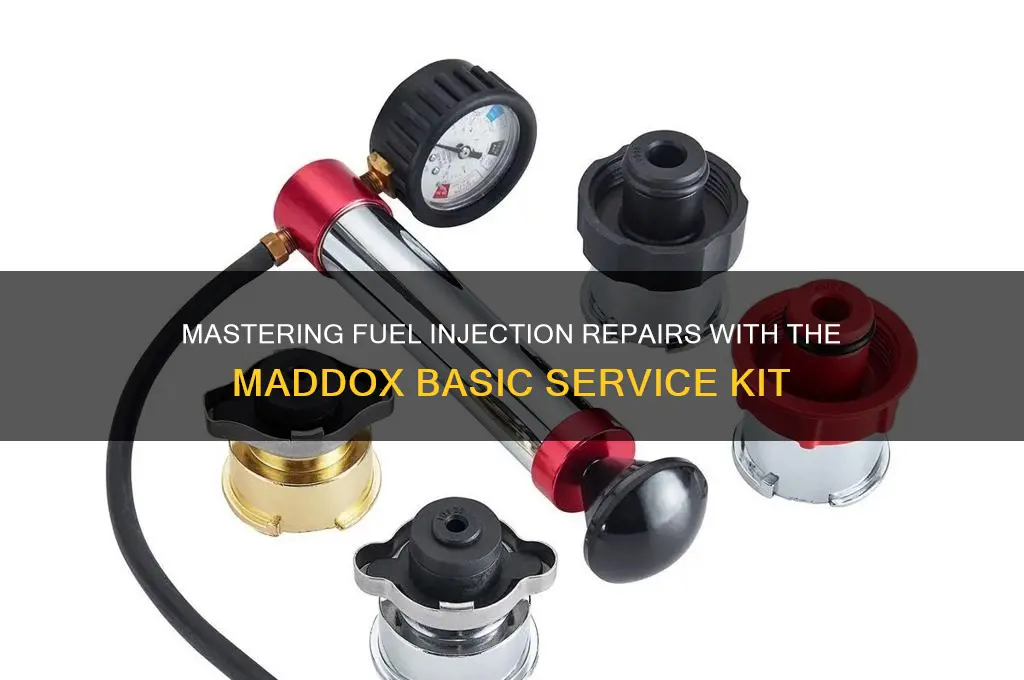 how to use maddox basic fuel injection service kit
