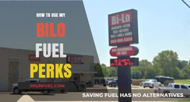 Maximize Savings: Smart Tips for Using Your BI-LO Fuel Perks