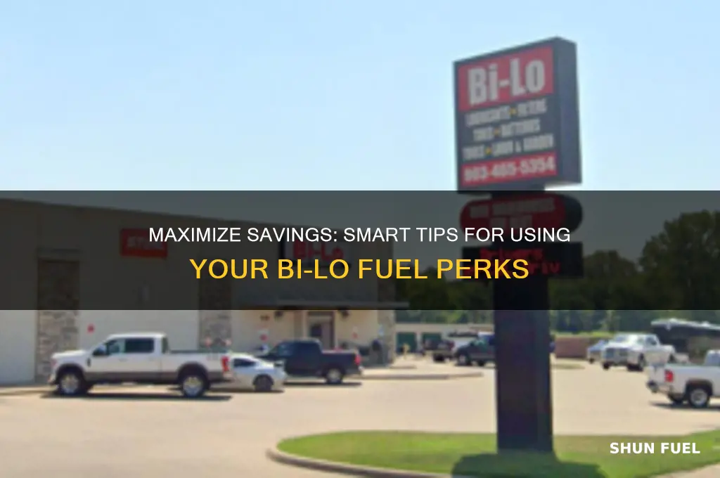 how to use my bilo fuel perks