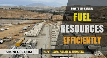 Maximizing Natural Fuel Efficiency: Sustainable Strategies for a Greener Future