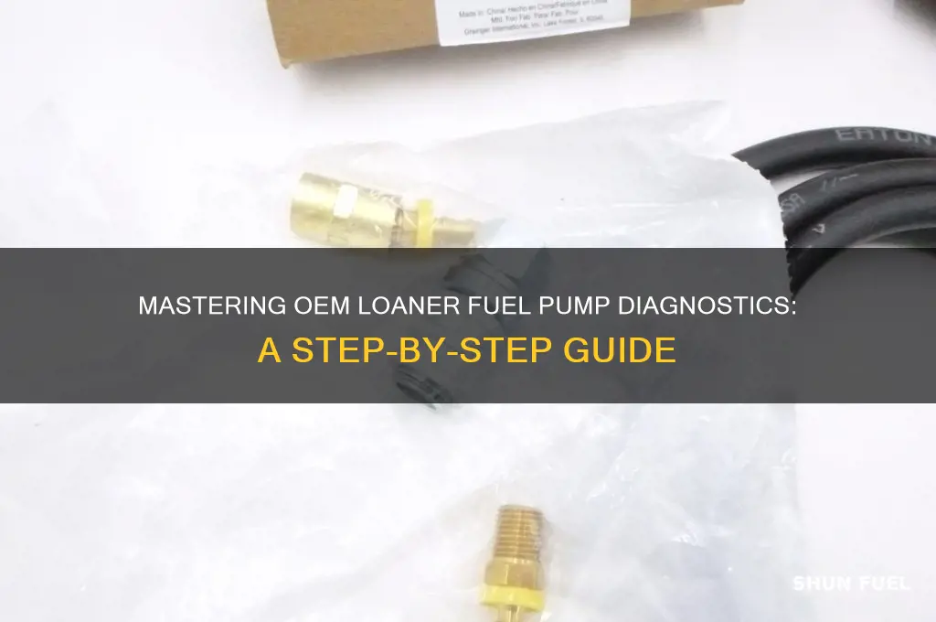 how to use oem loaner fuel pump diagnostic kit
