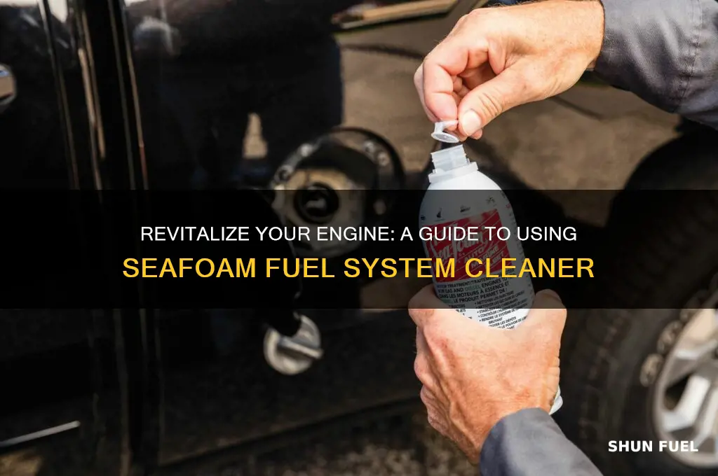 how to use seafoam fuel system cleaner