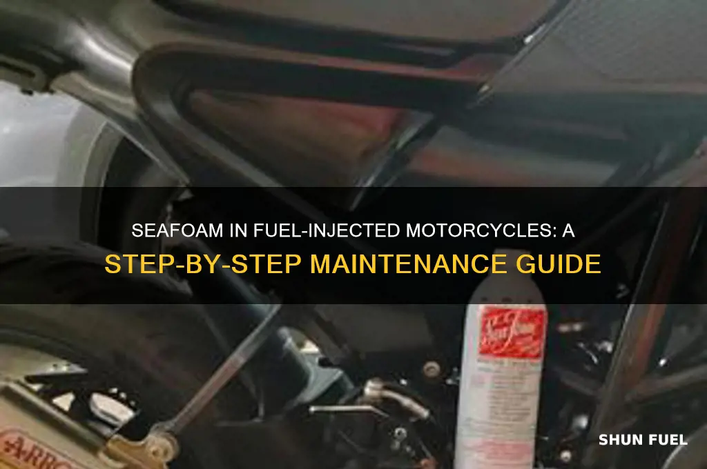 how to use seafoam in fuel injected motorcycle