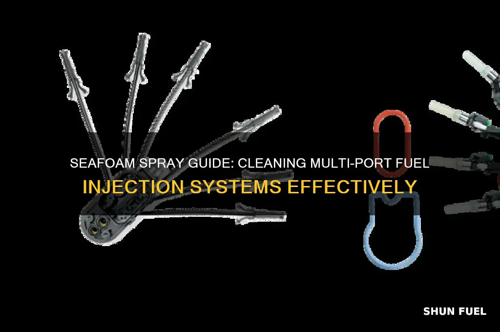 how to use seafoam spray on multi port fuel injection