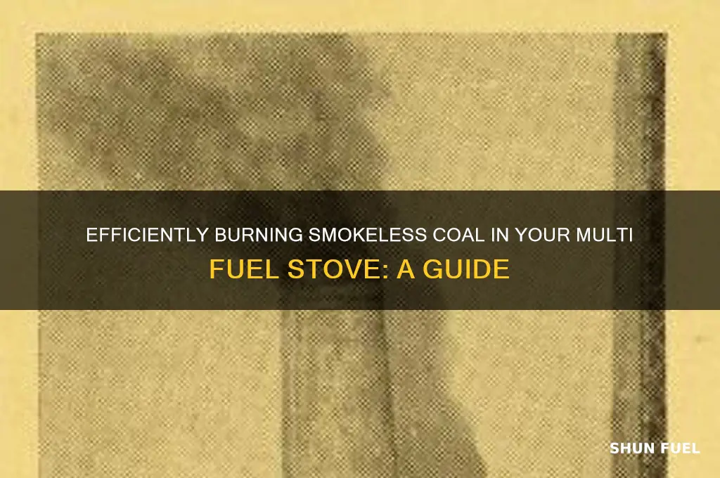 how to use smokeless coal in a multi fuel stove