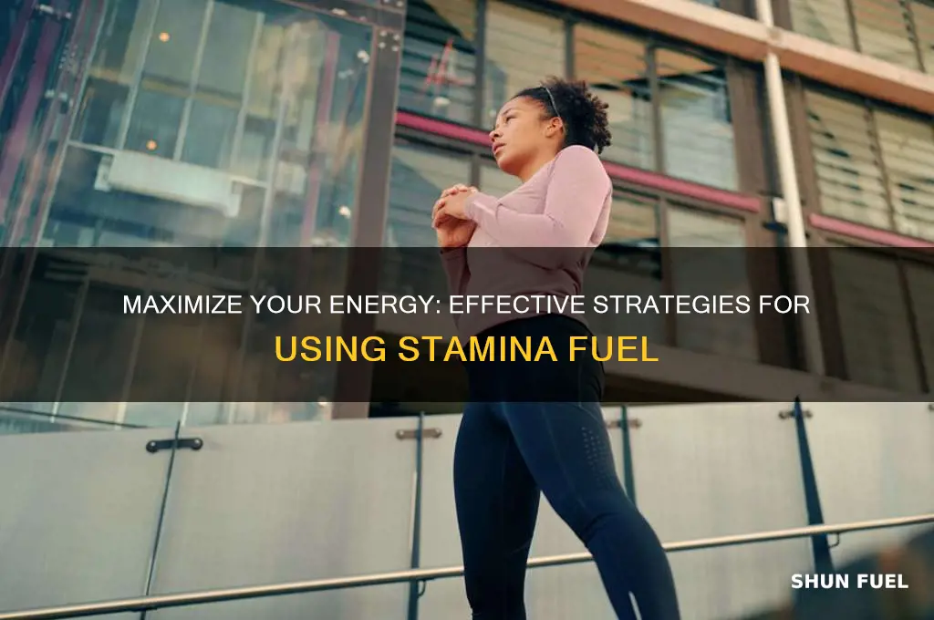 how to use stamina fuel