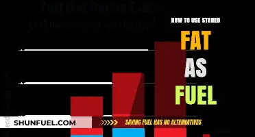 Unlocking Energy: How to Use Stored Fat as Fuel Efficiently