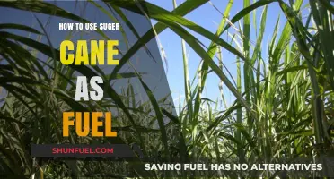 Sustainable Energy: Harnessing Sugar Cane as an Eco-Friendly Fuel Source