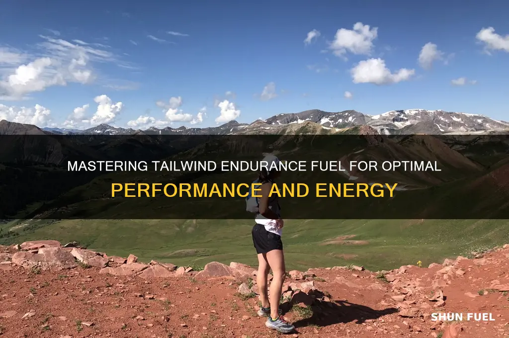 how to use tailwind endurance fuel