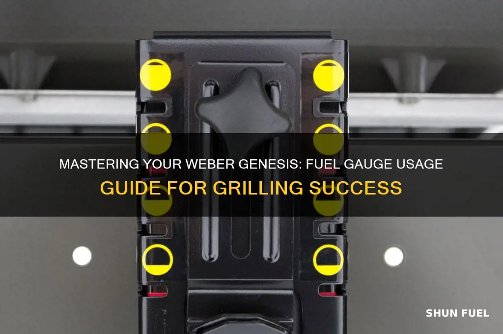 how to use weber genesis fuel gauge