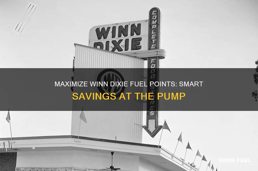 how to use winn dixie fuel points