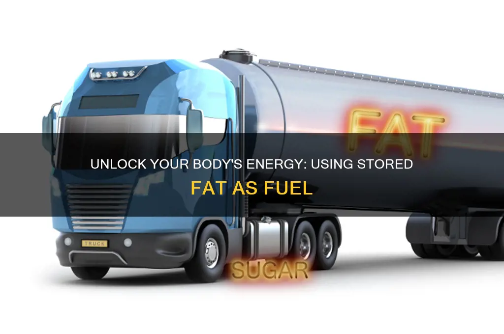 how to use your body fat as fuel
