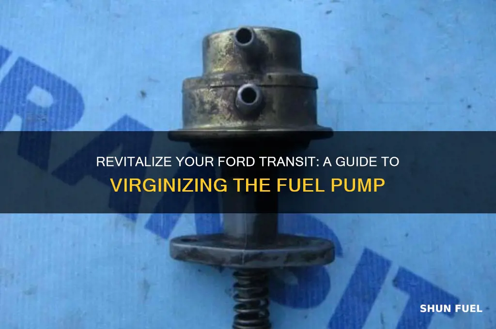 how to virginize a ford transit fuel pump