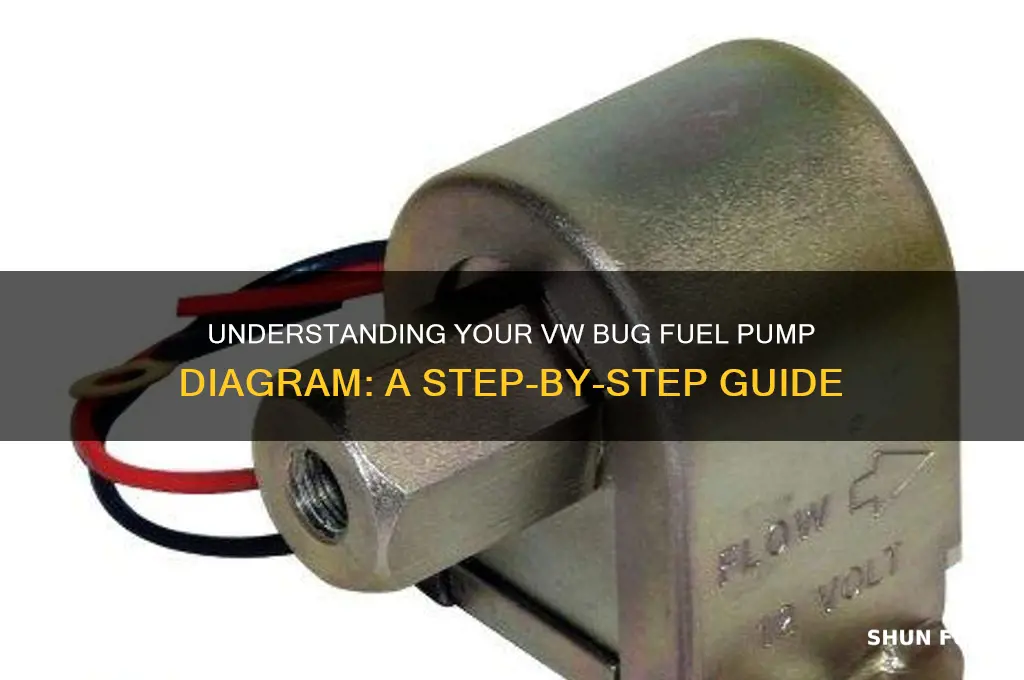 how to vw bug fuel pump diagram