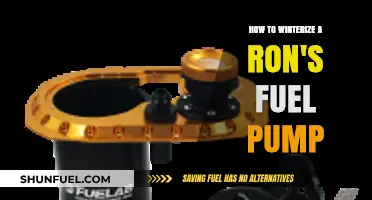 Winterizing Ron's Fuel Pump: Essential Steps for Cold Weather Prep