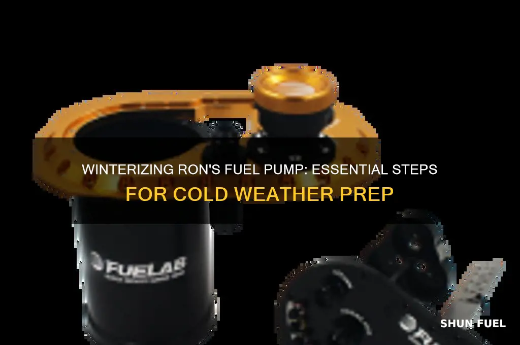 how to winterize a ron