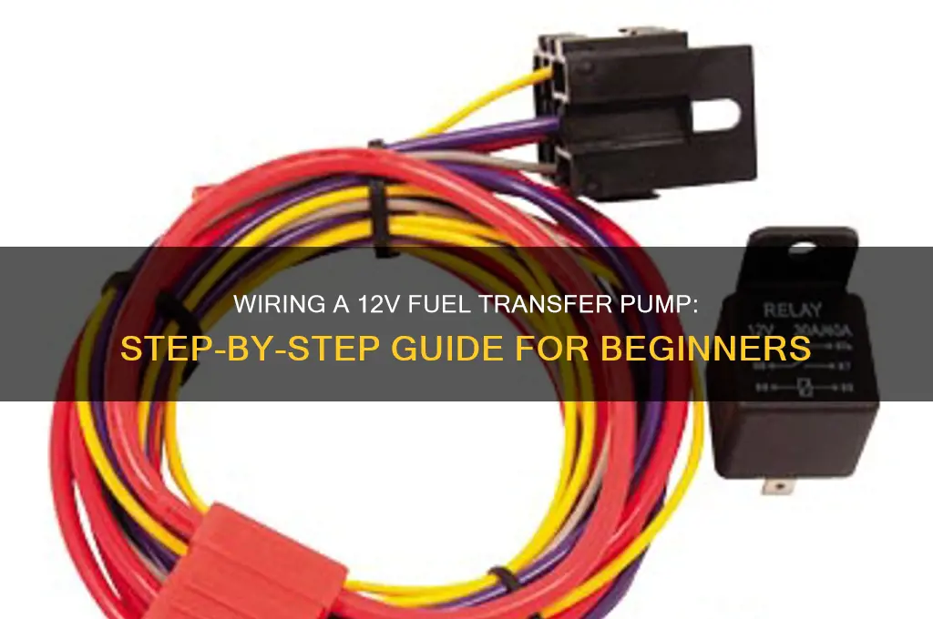 how to wire a 12v fuel transfer pump