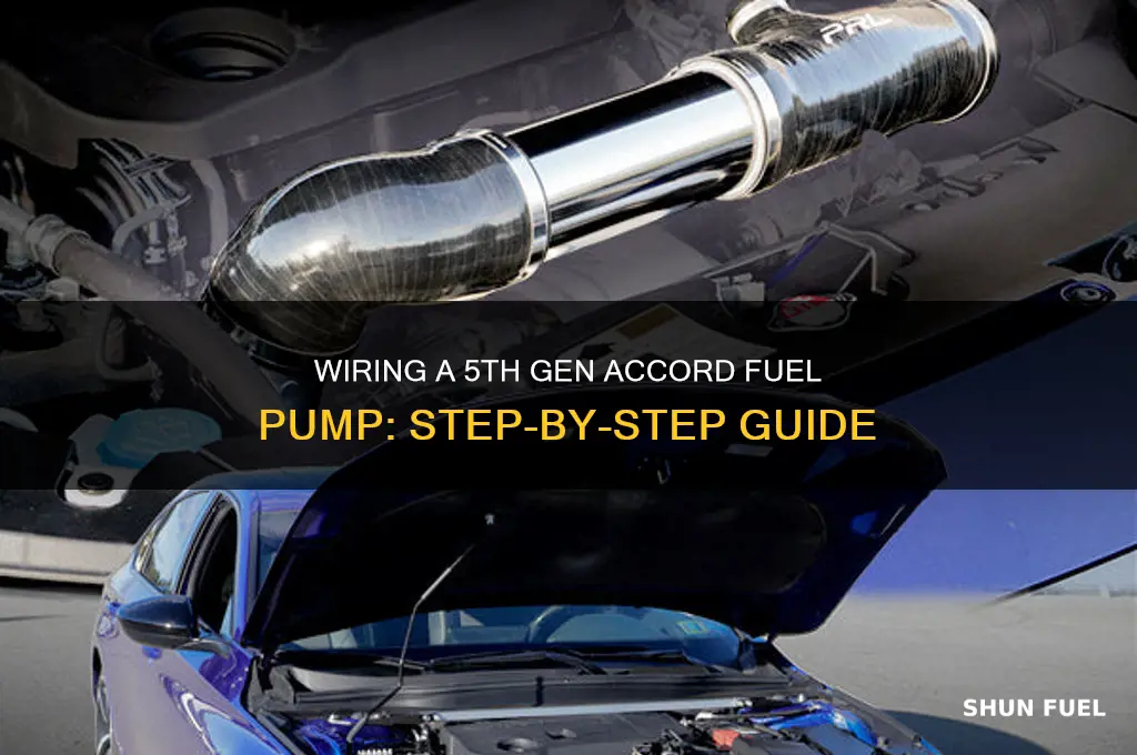 how to wire a 5th gen accord fuel pump