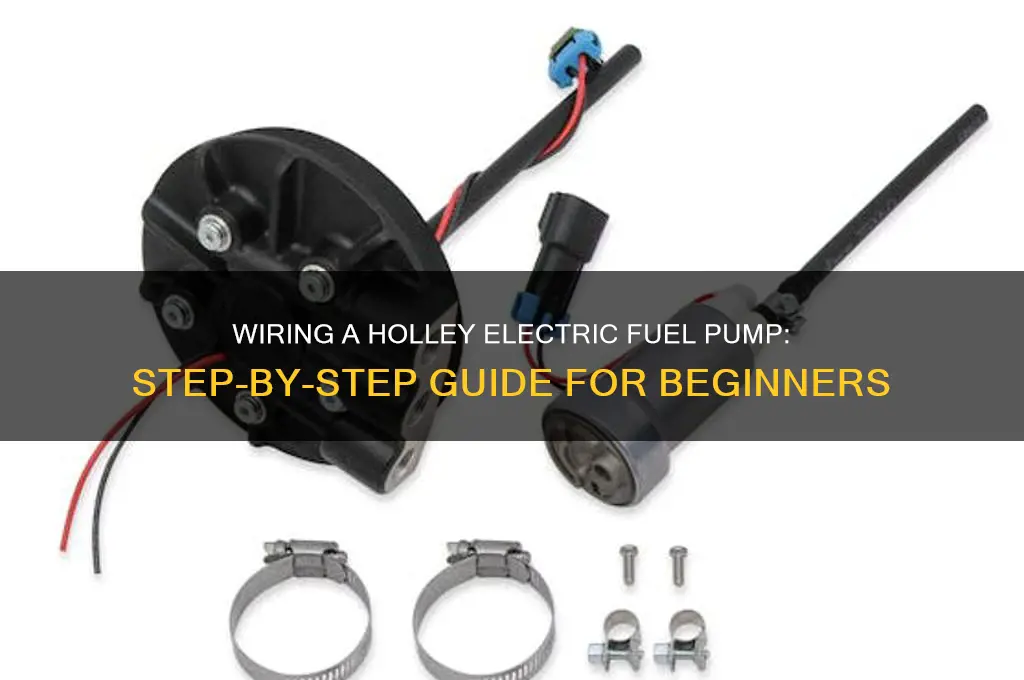 how to wire a holley electric fuel pump