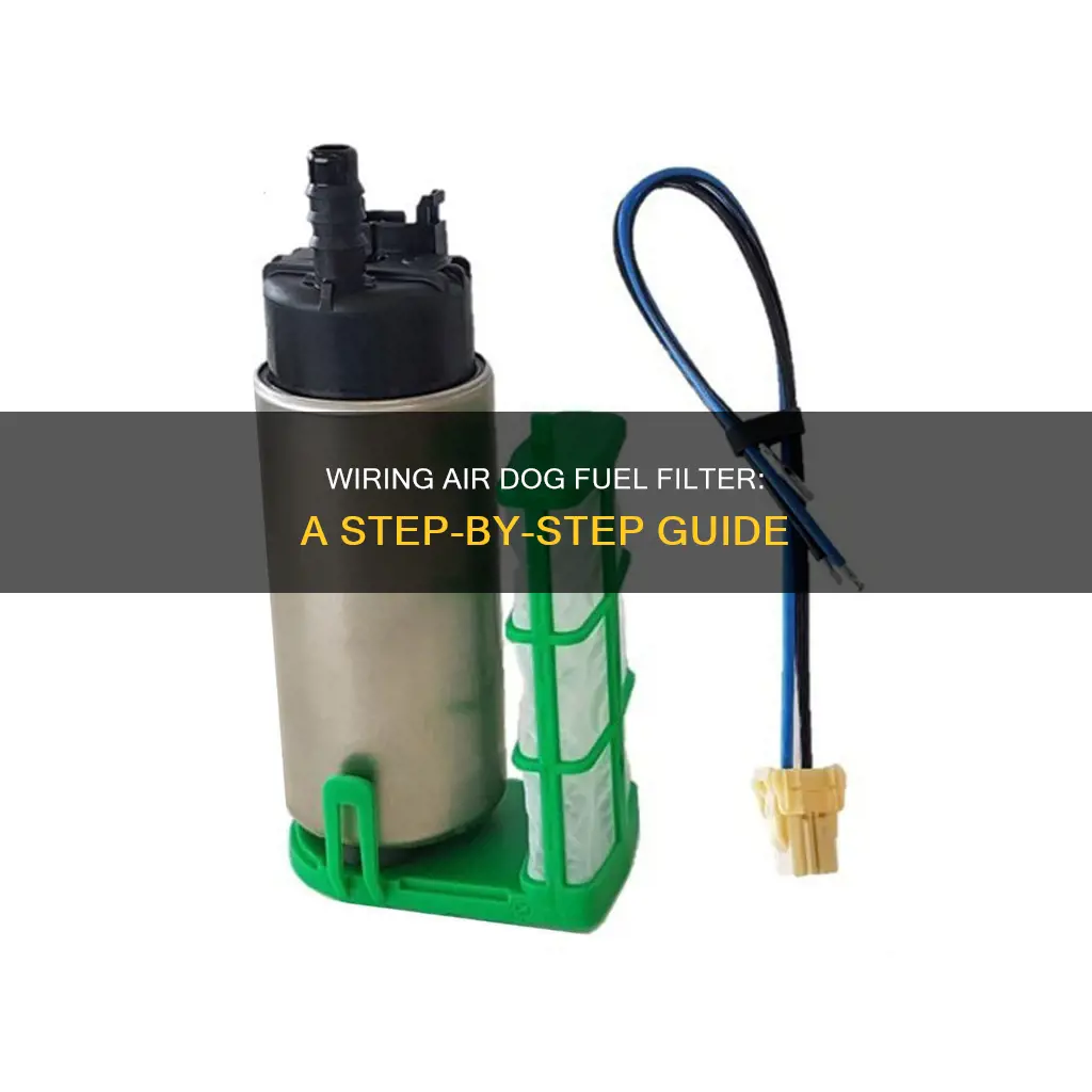 how to wire air dog fuel filter