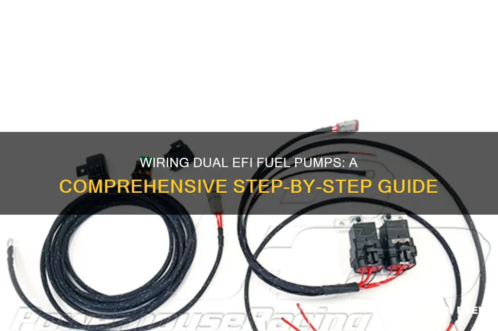 how to wire dual efi fuel pumps