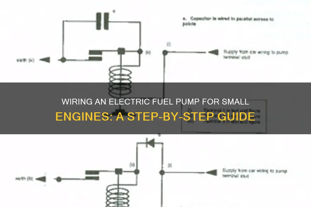 how to wire electric fuel pump on small engine