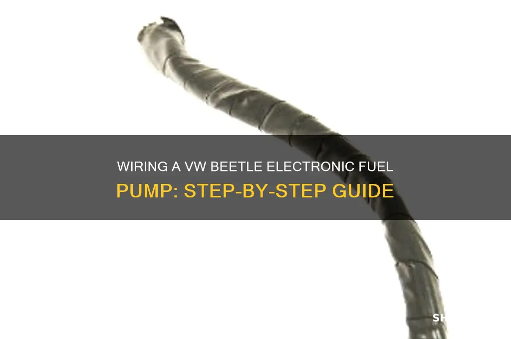 how to wire in vw beetle electronic fuel pump