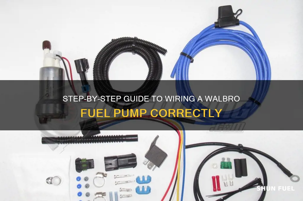 how to wire walbro fuel pump