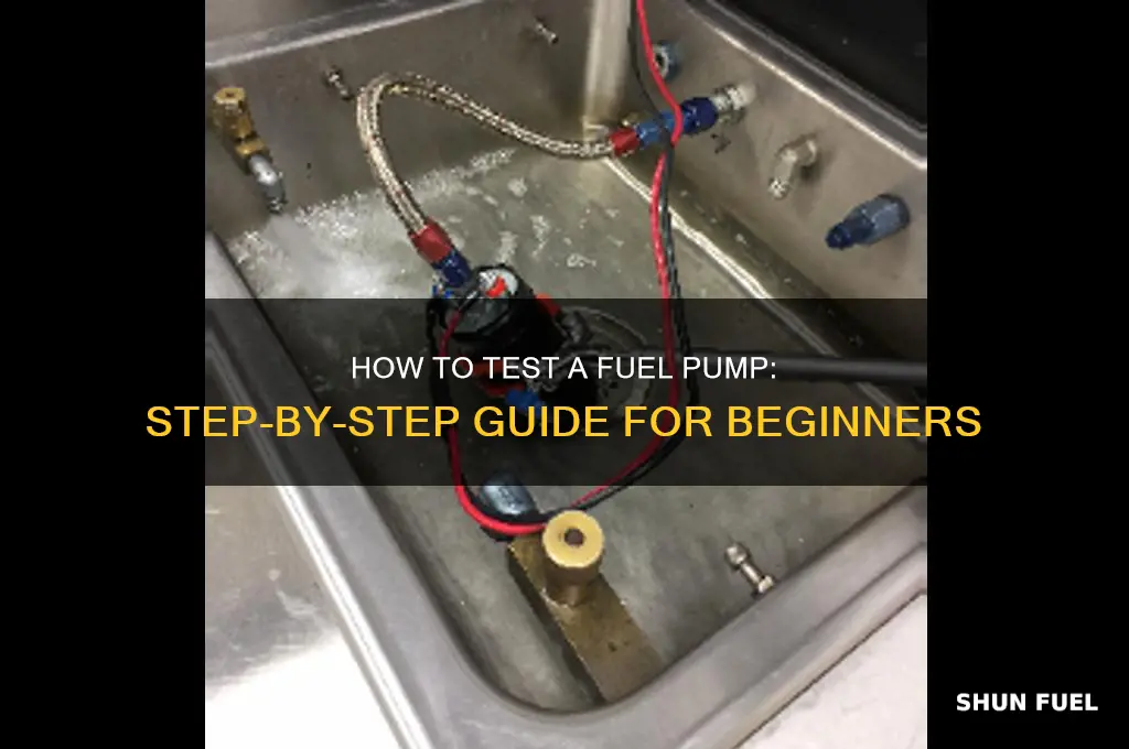 how tobtest fuel pump