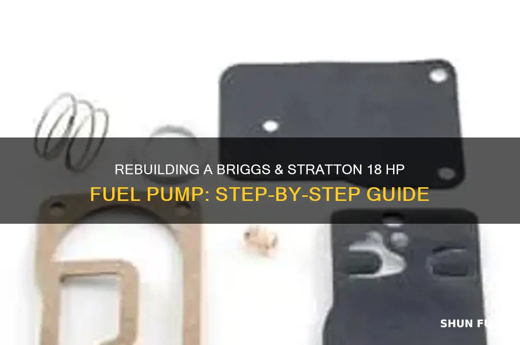 how torebuild fuel pump on 18 hp briggs
