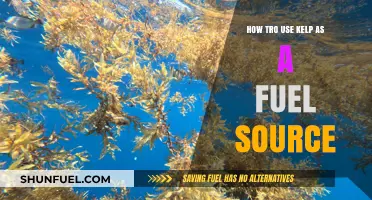 Harnessing Kelp Power: Sustainable Fuel Source for a Greener Future