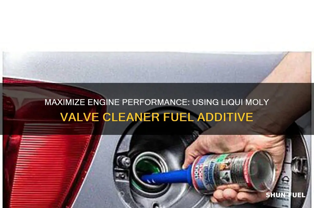 how use liqui moly valve cleaner fuel additive