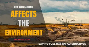 Environmental Impact of Different Fuels: A Comprehensive Analysis