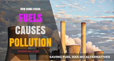 Fossil Fuels: A Burning Issue for Our Planet