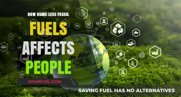 Green Energy Transition: Impact on People and Fossil Fuels