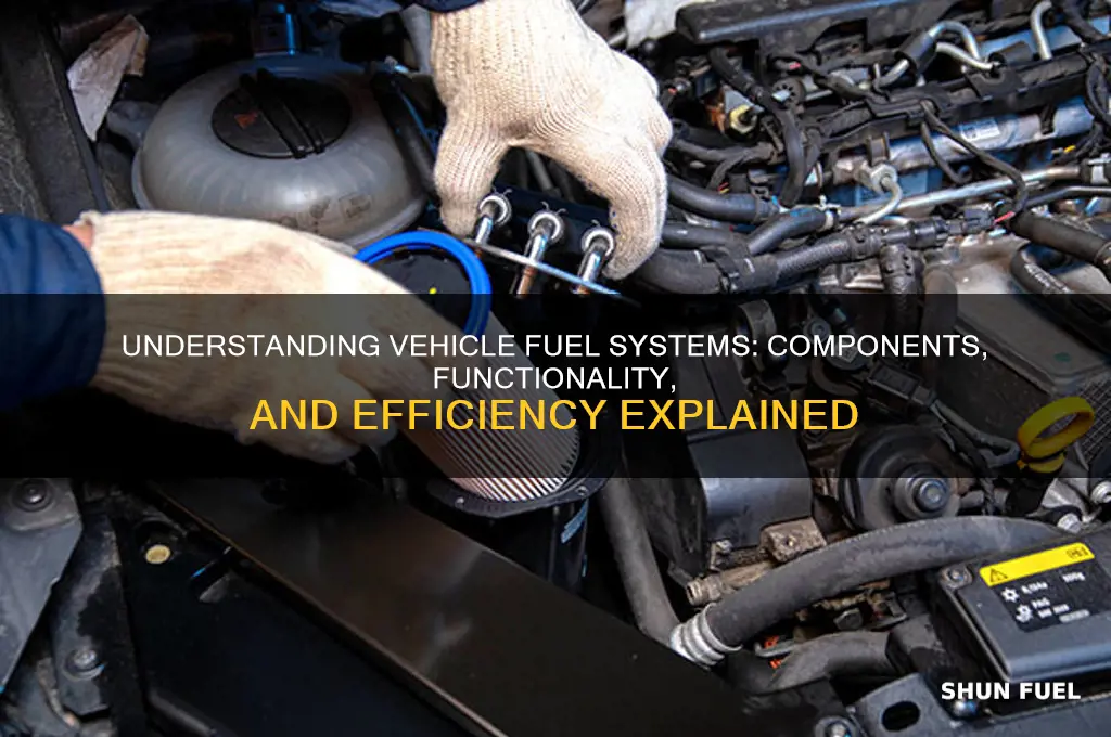 how vehicle fuel systems work
